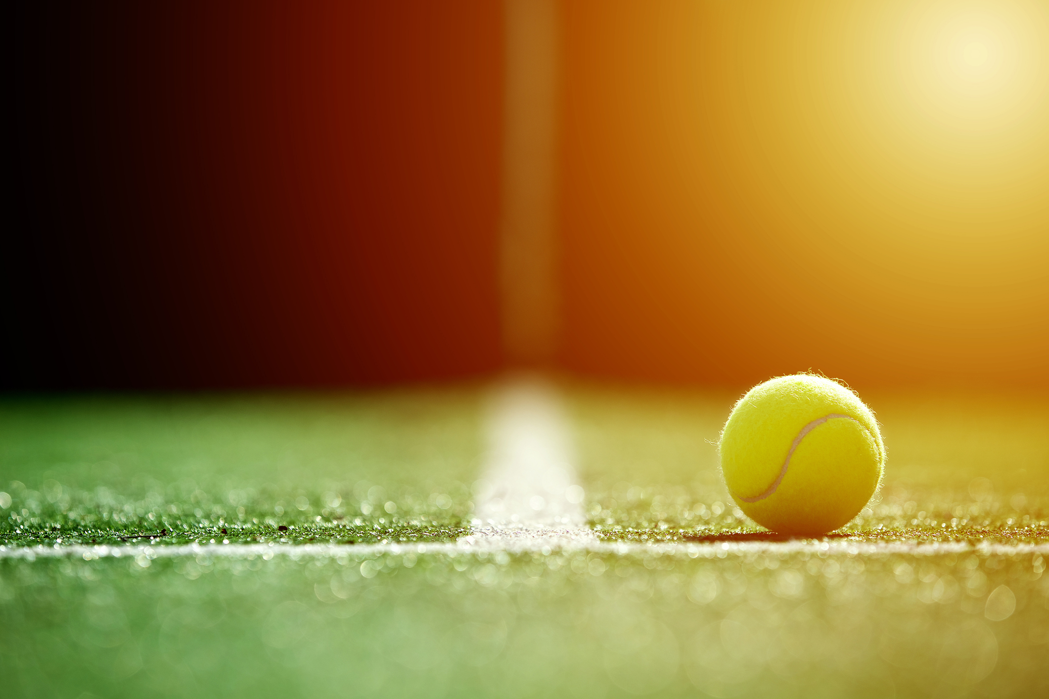 <p>soft focus of tennis ball on tennis grass court with sunlight</p>

