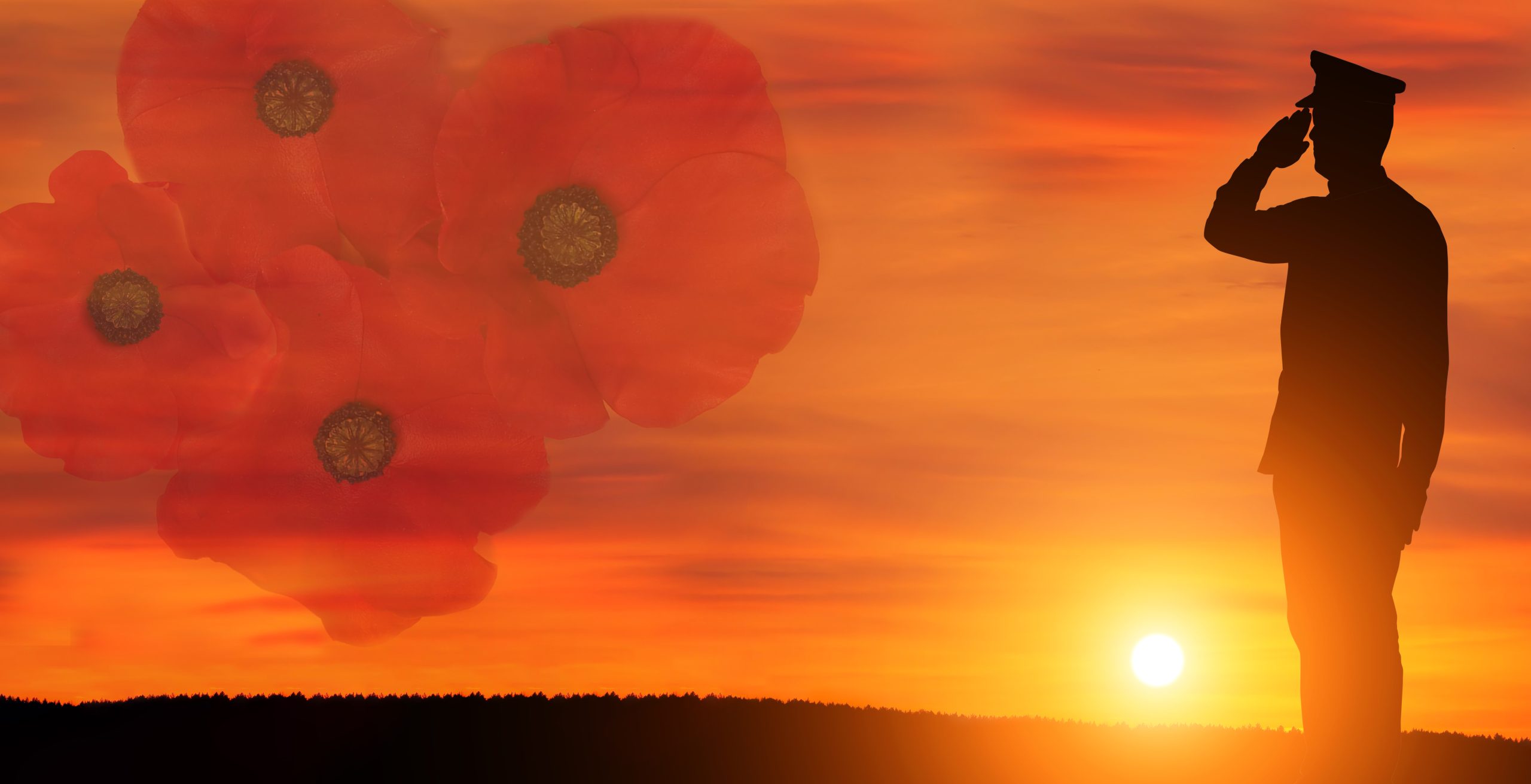 <p>Greeting card for Poppy Day , Remembrance Day . Concept – patriotism, honor</p>