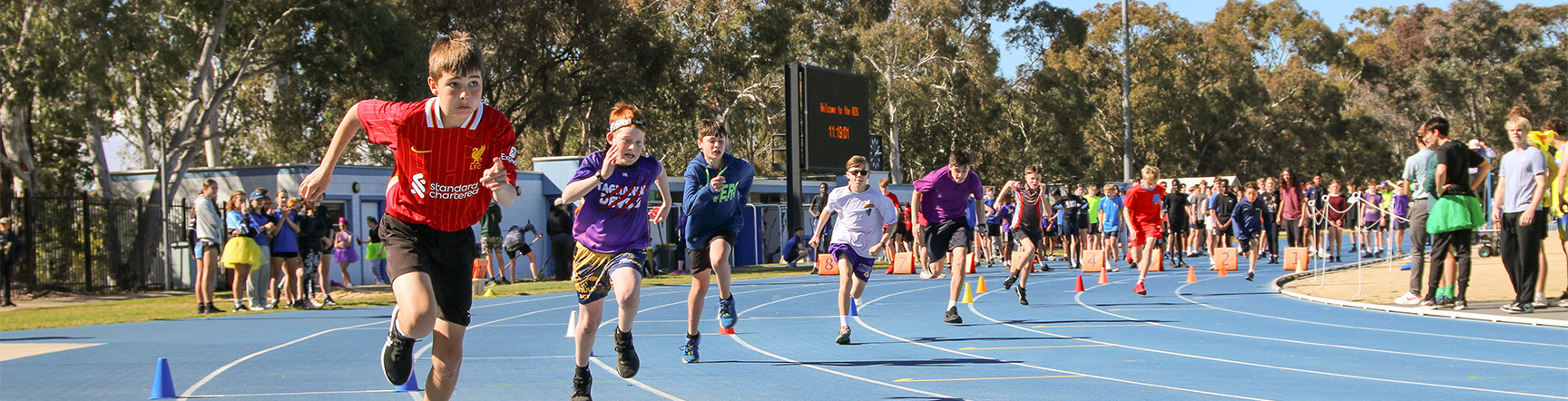 Co-curricular opportunities