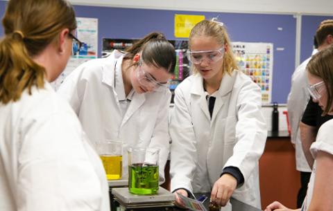 Students in a Science class